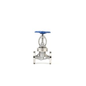 Flange globe valve